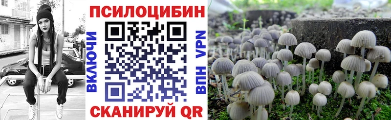Псилоцибиновые грибы Psilocybe  дарнет шоп  ОМГ ОМГ   Новоалександровск 