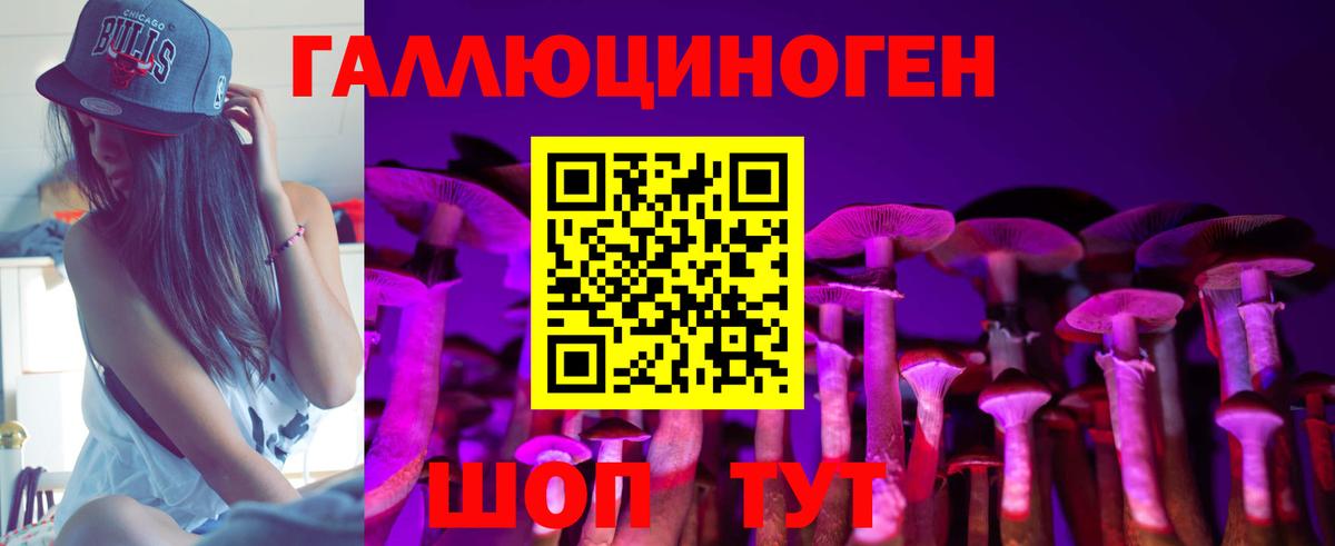 Новоалександровск  Псилоцибиновые грибы Psilocybine cubensis  Вход с VPN 