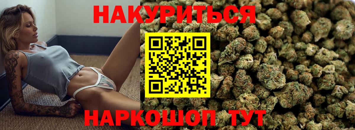Бошки Шишки конопля Новоалександровск